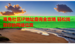 海角社区IP地址查询全攻略 轻松找到你的网络位置