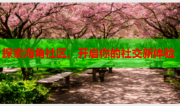 探索海角社区，开启你的社交新体验