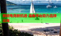 跨境电商新机遇 海角平台助力品牌出海