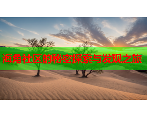 海角社区的秘密探索与发现之旅