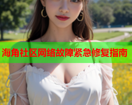 海角社区网络故障紧急修复指南