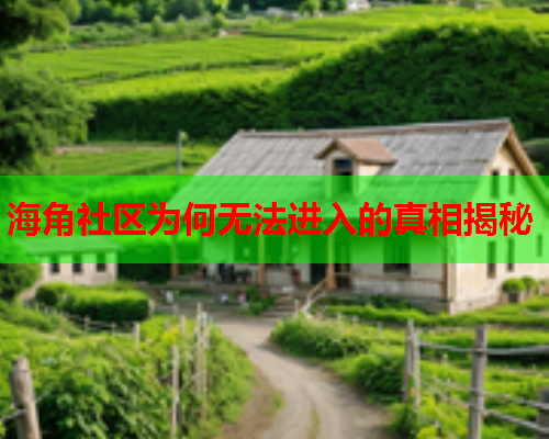 海角社区为何无法进入的真相揭秘